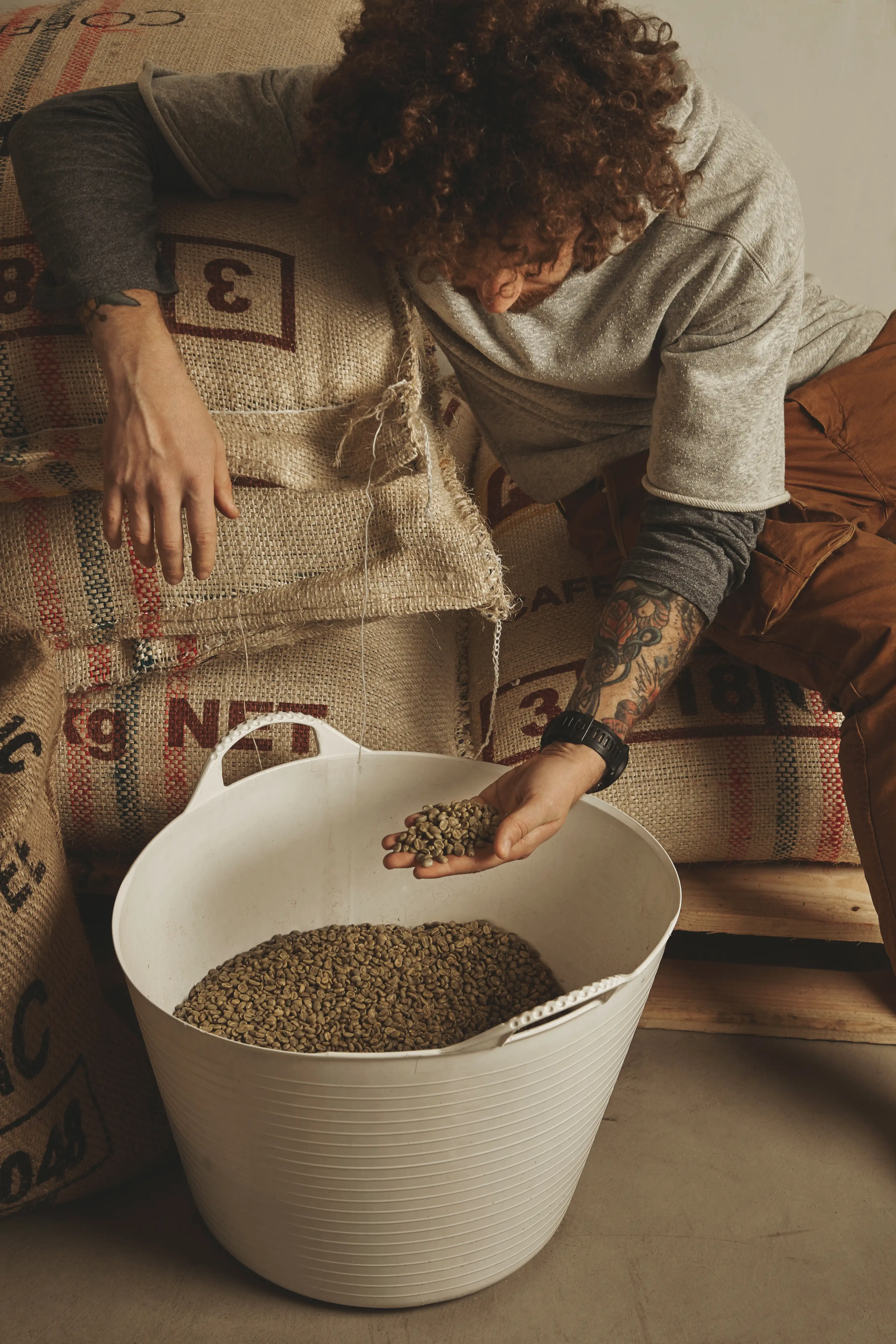 Premium green coffee beans ready for roasting